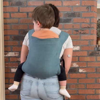 Adventurer Baby & Toddler Carrier